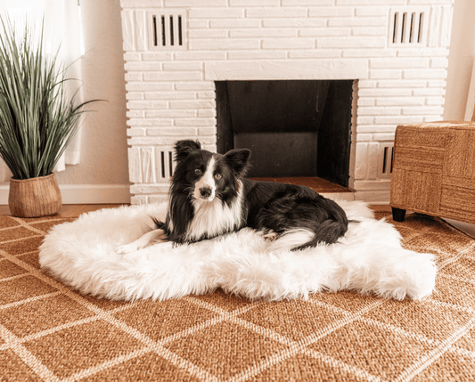 Faux Fur Orthopedic Dog Bed - Curve Polar White