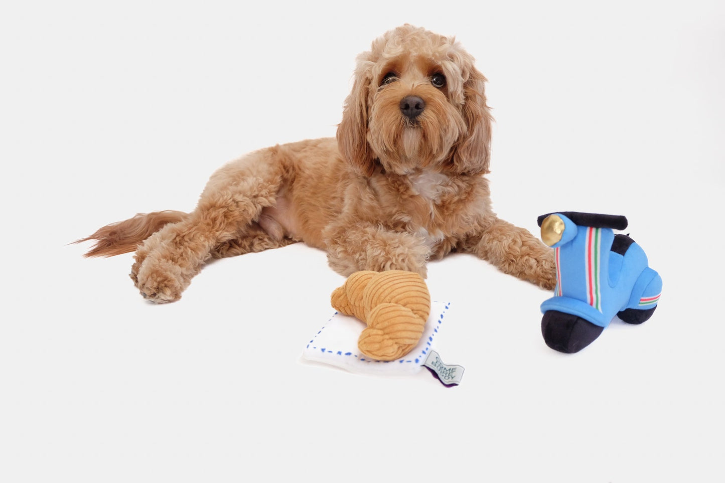 Scooter Pet Plush Toy - engage your pet in gentle play - high quality - comforting texture - Height 5 inch Width 2.5 inch