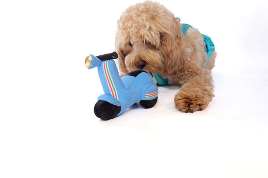 Scooter Pet Plush Toy - engage your pet in gentle play - high quality - comforting texture - Height 5 inch Width 2.5 inch