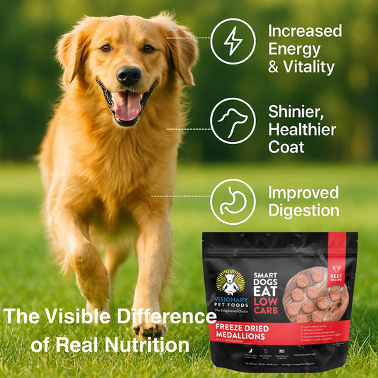 Freeze Dried Food | Beef Recipe | 25oz Bag