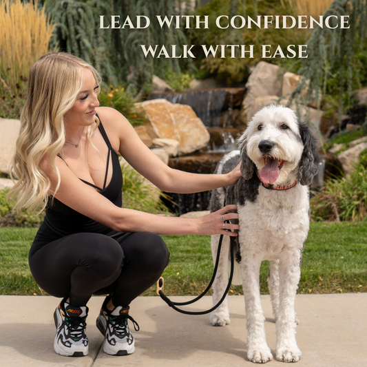 Calm Command: Hands Free No-Pull Leash
