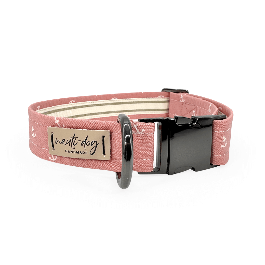 Nauti Rose Pink Girly Anchor Buckle & Martingale Dog Collar