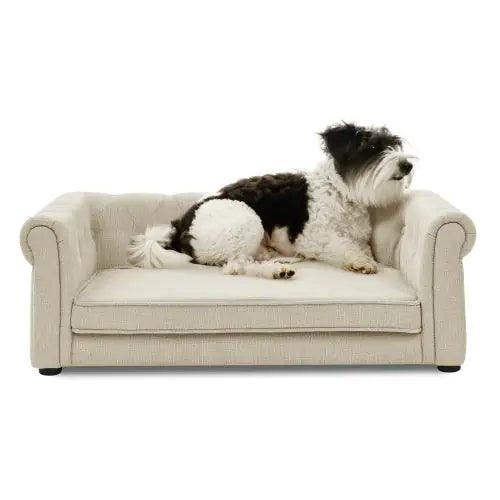 Chic Large Dog Sofa Bed
