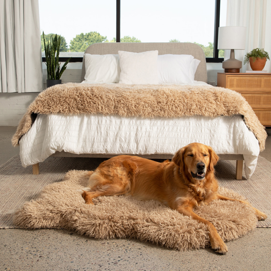 Faux Fur Orthopedic Dog Bed - Plush Sheep Tan