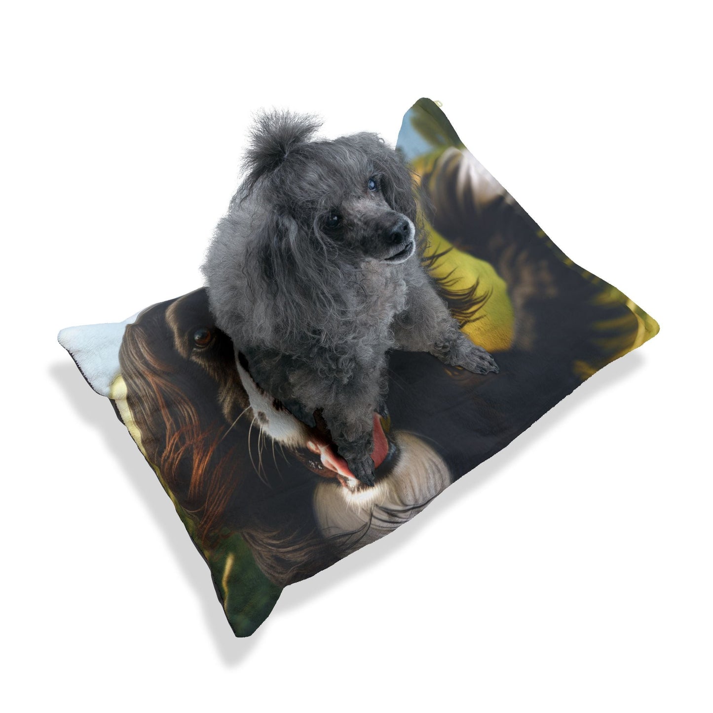 Large Munsterlander Pet Bed