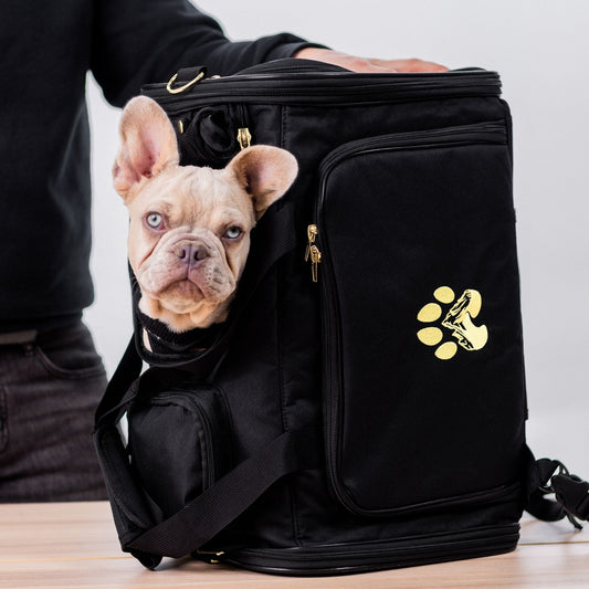 Air Pup Travel Carrier