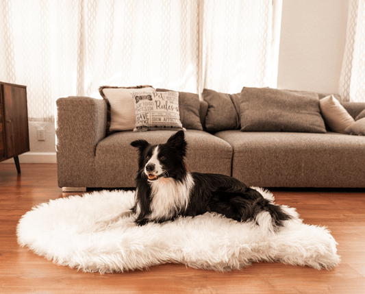 Faux Fur Orthopedic Dog Bed - Curve Polar White