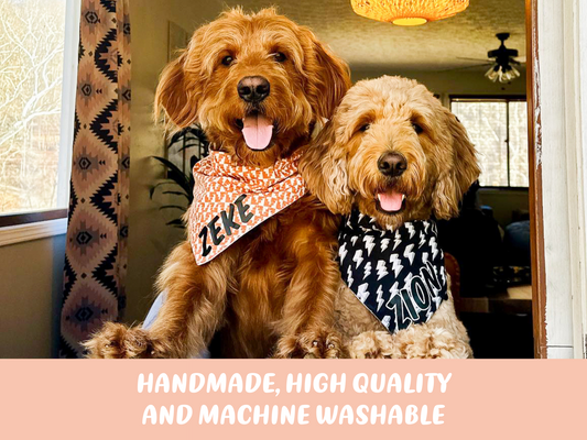 "Football" Dog Bandana