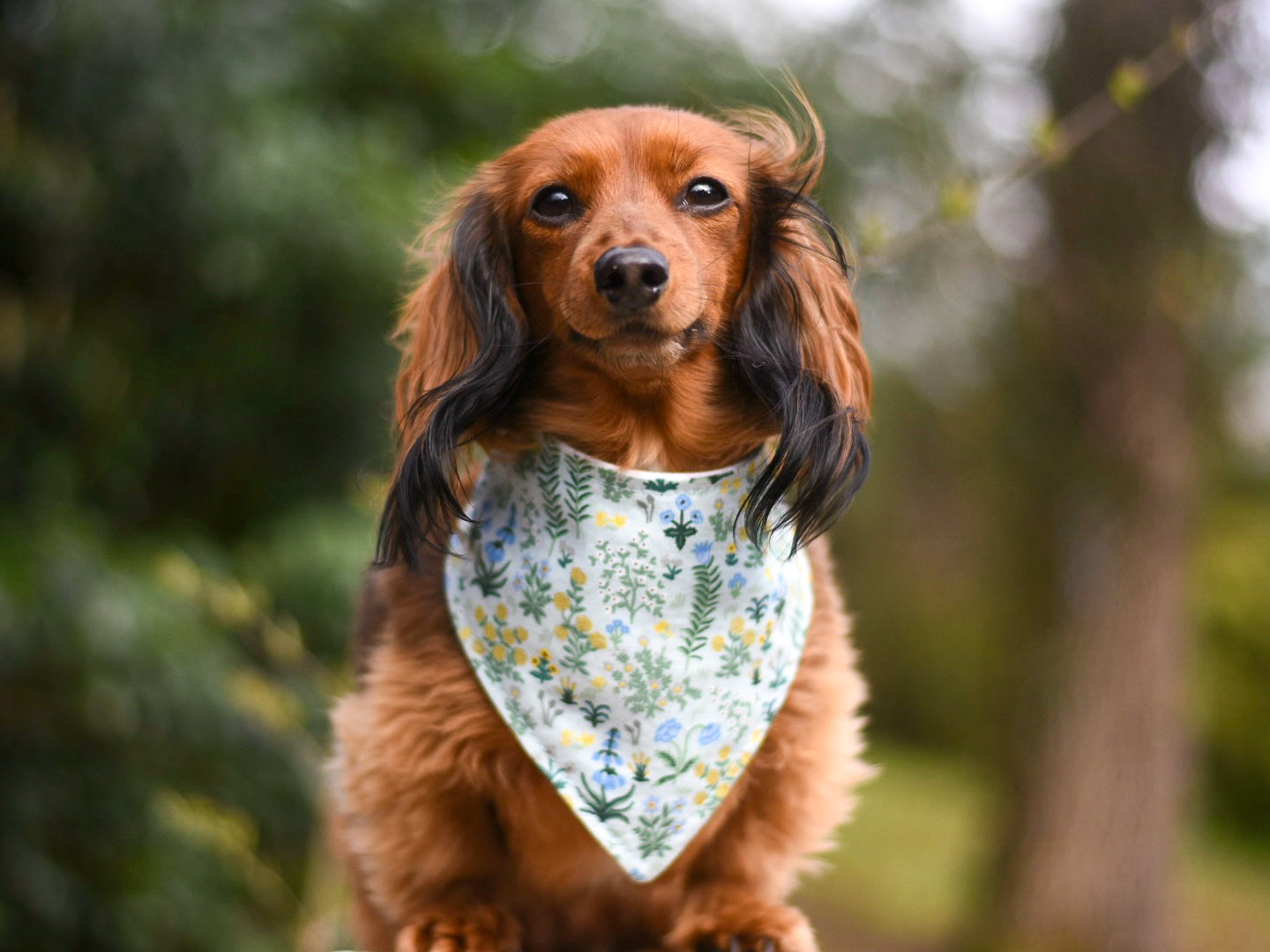 "Classic Bandana" Dog Bandana