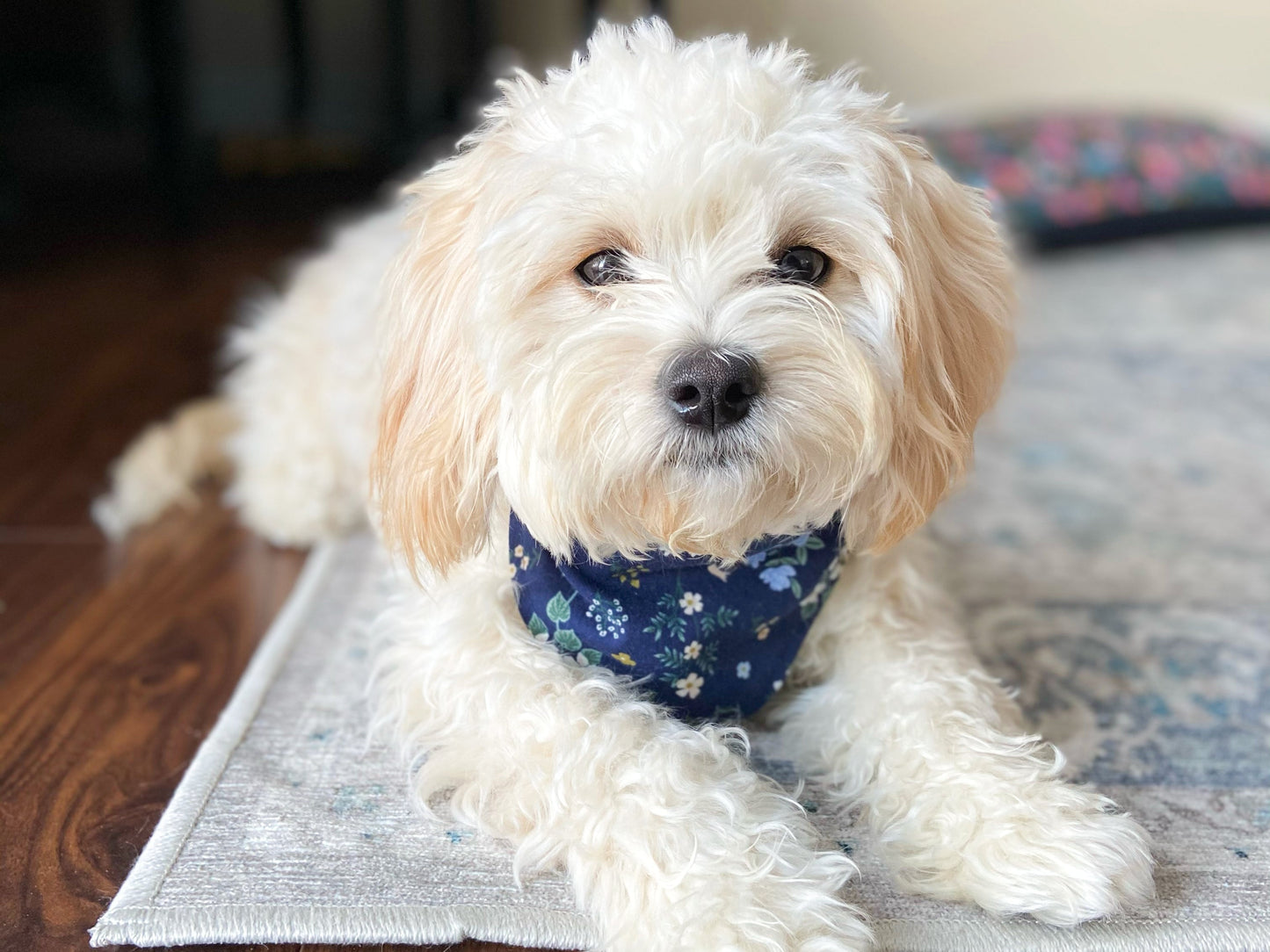 "Mint Wildflower" Dog Bandana
