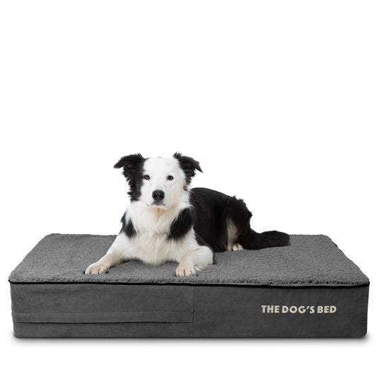 Large Orthopedic Memory Foam Dog Bed with Therapeutic Joint Support
