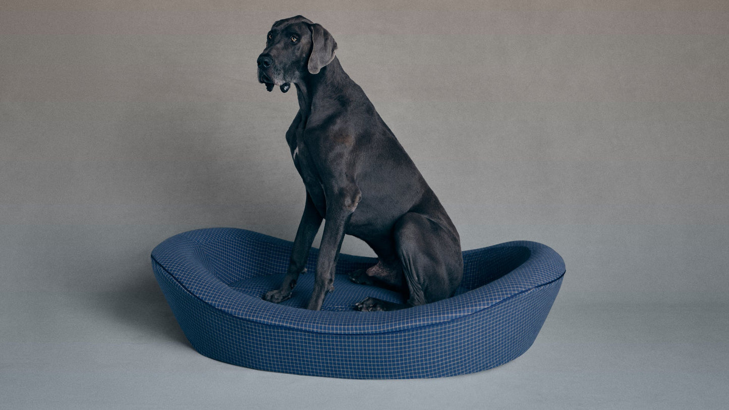 Timeless Dog Bed in Wren's Blueprint