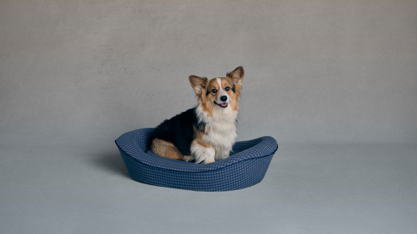 Timeless Dog Bed in Wren's Blueprint
