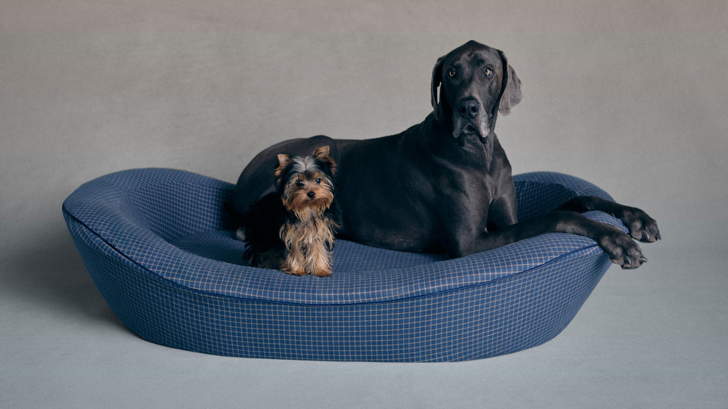 Timeless Dog Bed in Wren's Blueprint