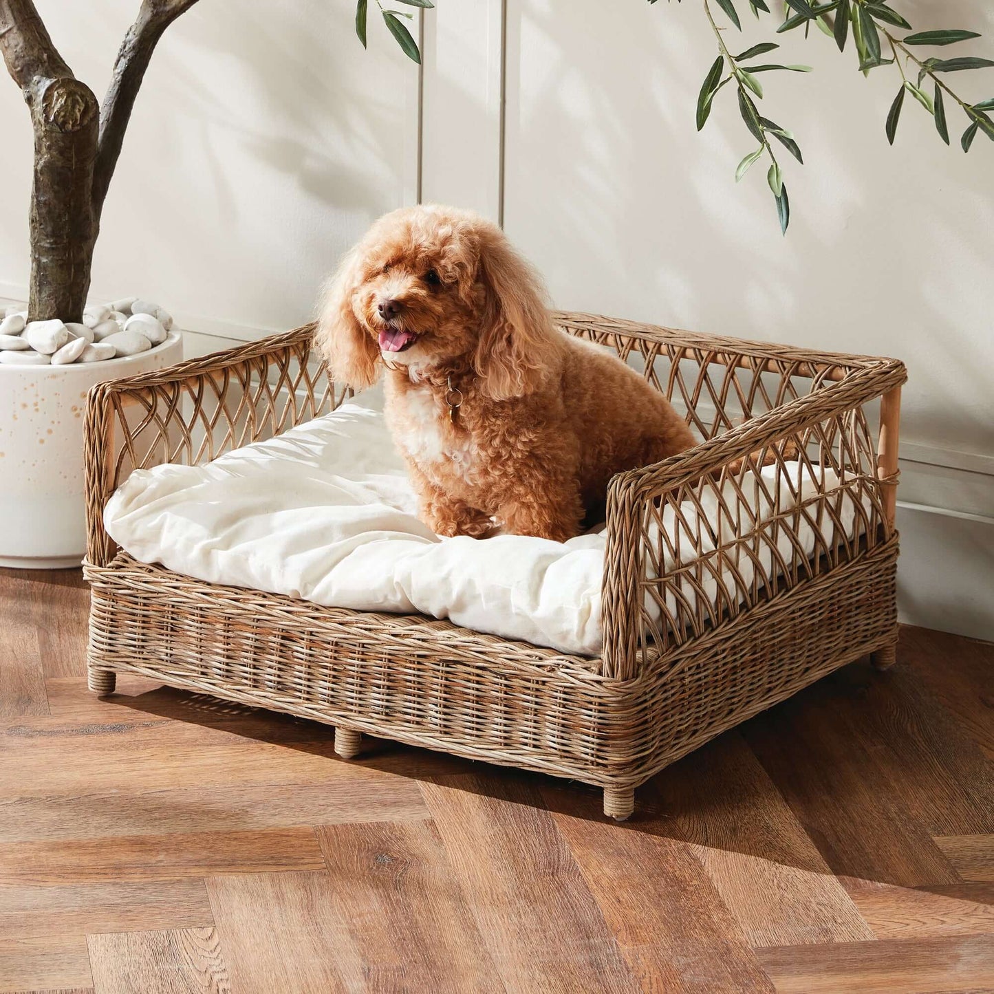 Large Vintage Woven Rattan Dog Bed with Cushion
