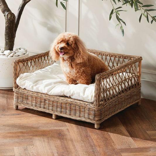 Large Vintage Woven Rattan Dog Bed with Cushion