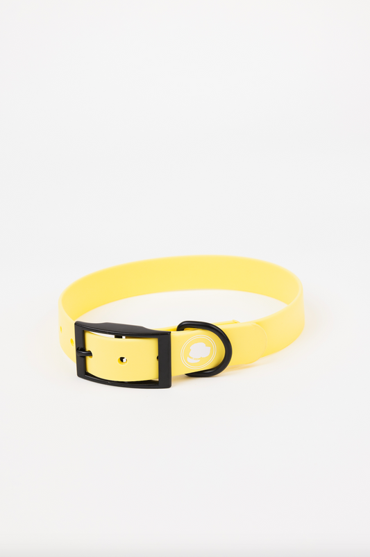 The Modern Dog Company - Daffodil Yellow Collar (Weather + Odor Resistant)
