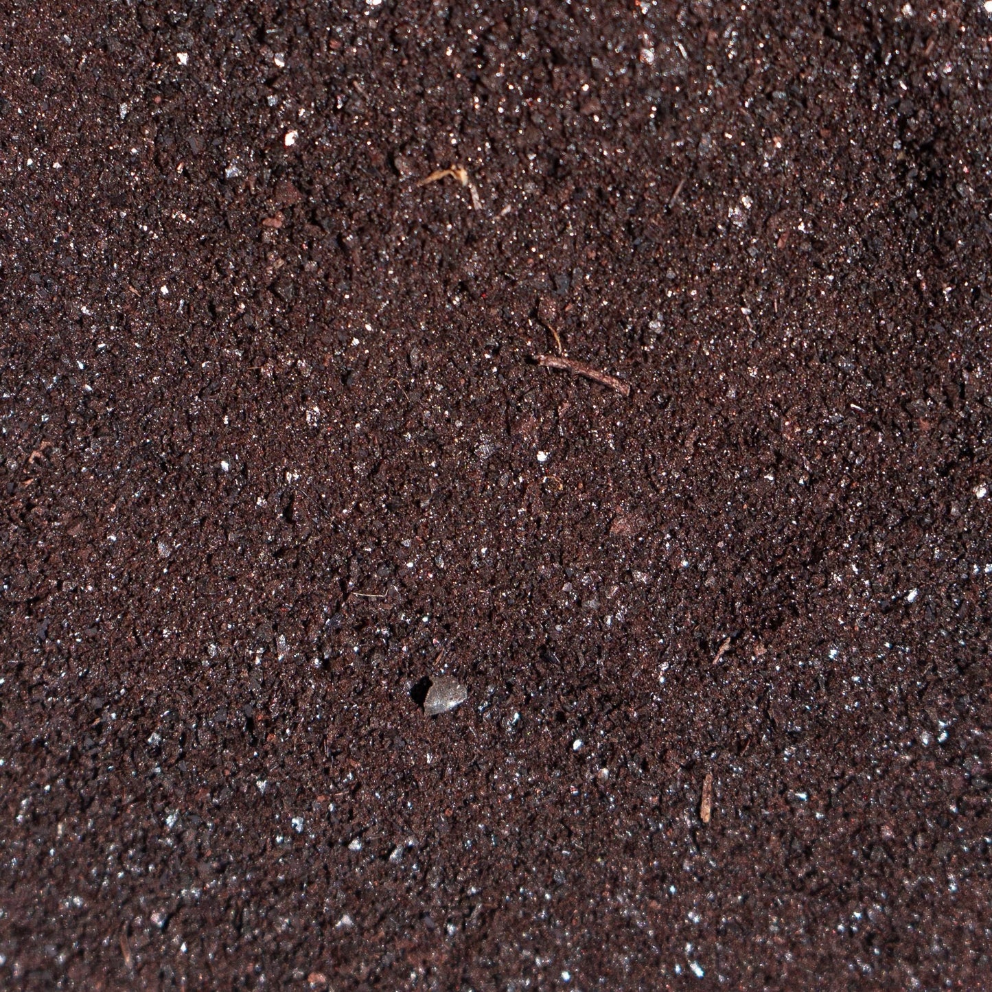 Freeze-Dried Beef Blood | Single Ingredient Meal Topper