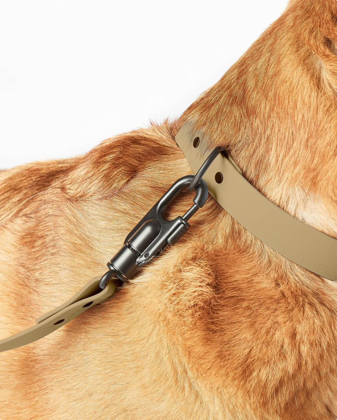 Signature Leash