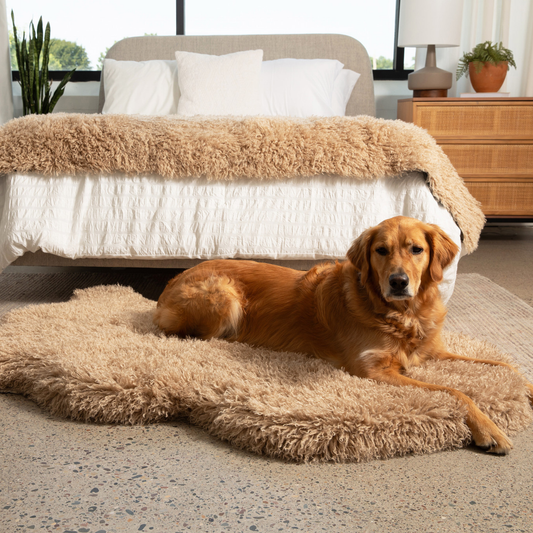 Faux Fur Orthopedic Dog Bed -  Plush Sheep Tan